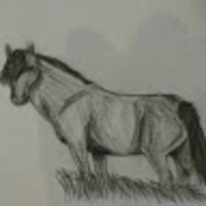 Meet your Posher, Elsi